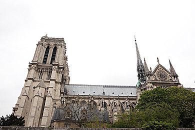 《幻兽帕鲁》爆火后 发行商已在国内注册多个商标